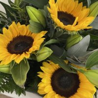 Photo from supplier website