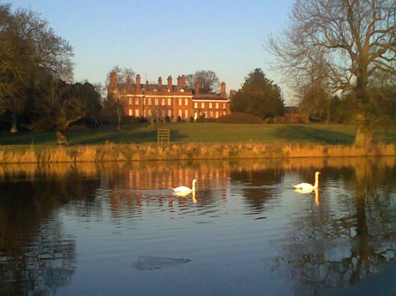 Halston Estate