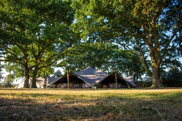The Oak Grove