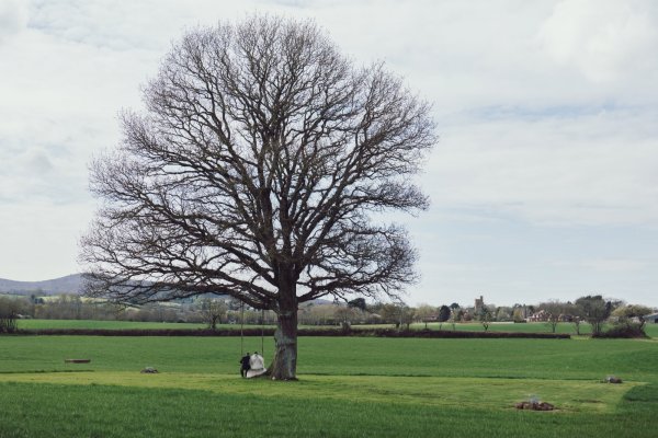 Calum Bradley Photography