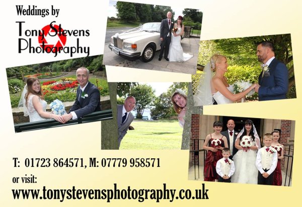 Tony Stevens Photography