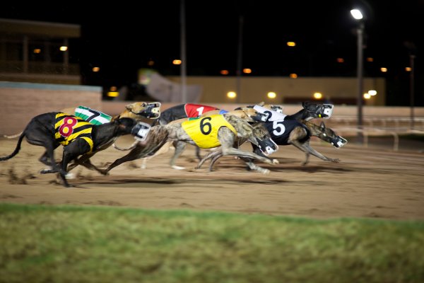 Belle Vue - Manchester