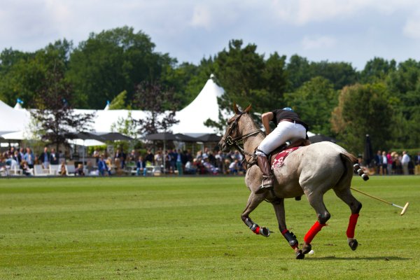 Westcroft Park Polo Club