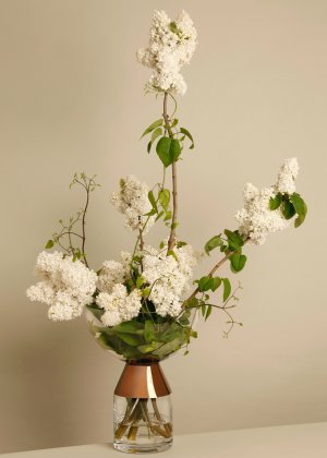 Shimizu Flowers