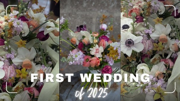 The Dorset Flower Co