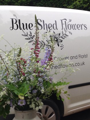 Blue Shed Flowers