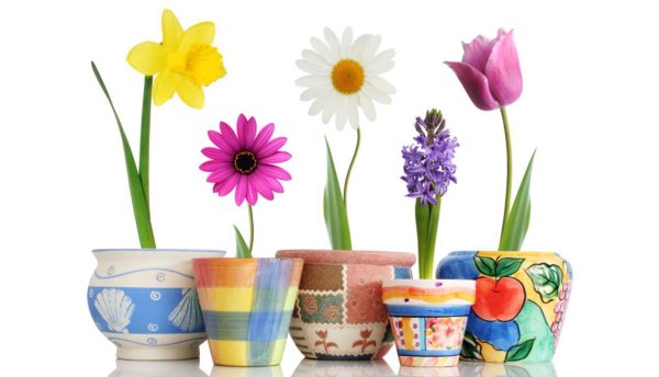 Little Miss Flowerpot