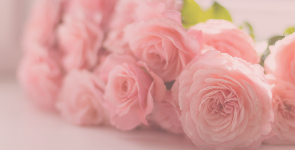 Shirley Snells Florist
