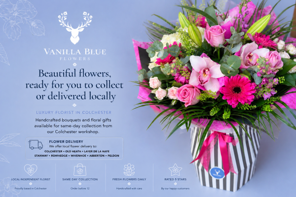 Vanilla Blue Flowers