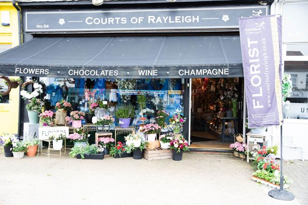 Courts Of Rayleigh