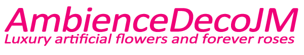 Ambiencedecojm