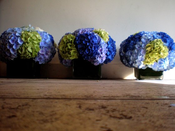Mystique Flowers