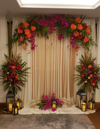 Suiceflora Ltd