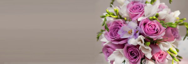 Pimlico Flowers