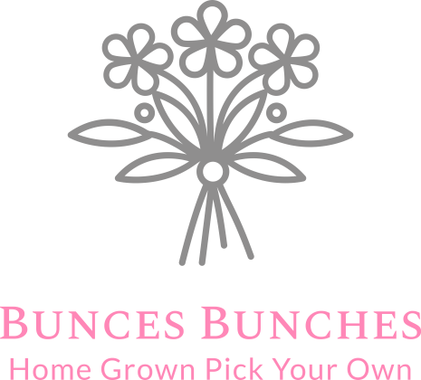 Bunces Bunches