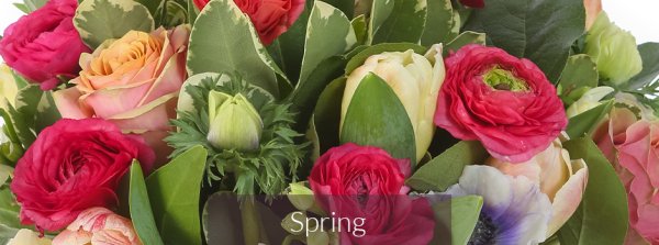 Hutton Flowers