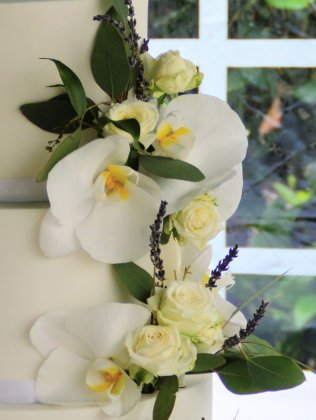 Marian Cake Studio
