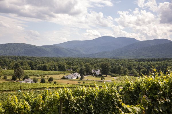 Veritas Vineyard & Winery