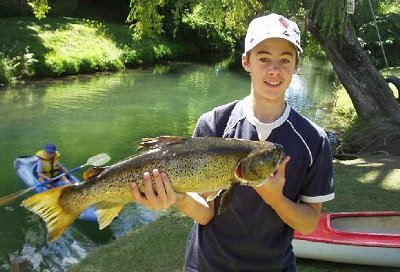 Waiteti Trout Stream Holiday Park