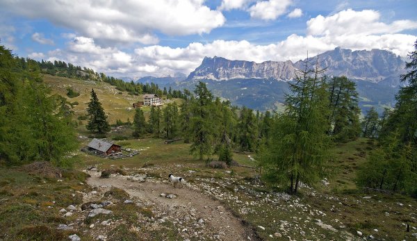 Gardenacia hut
