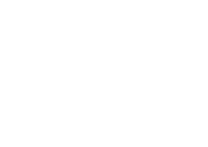 401 Rozendal
