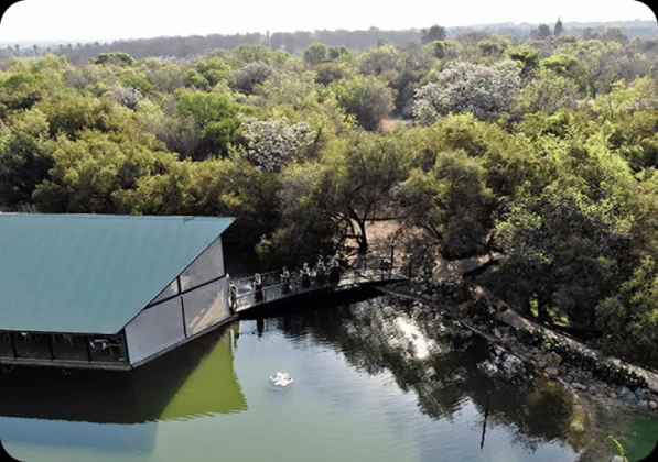 Bushloerie Function Venue