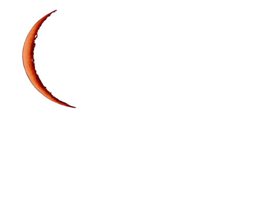 Cradle Moon Lakeside Game Lodge