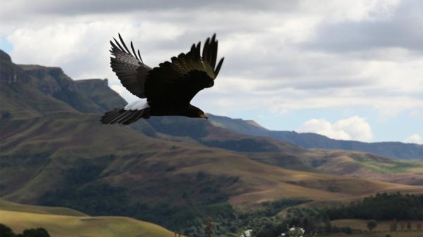 Eagle Falls Country Lodge