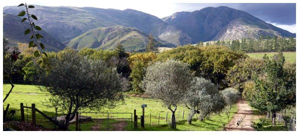 Elandskloof Farm Wedding Venue