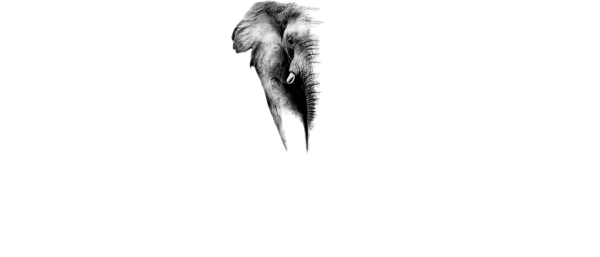 Elephant Springs