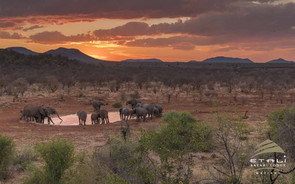 Etali Safari Lodge
