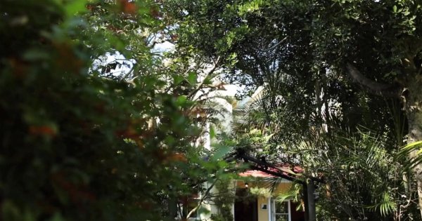 Hacklewood Hill Country House