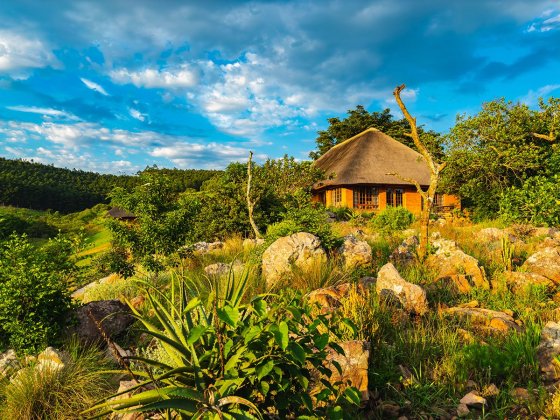 iNsingizi Lodge