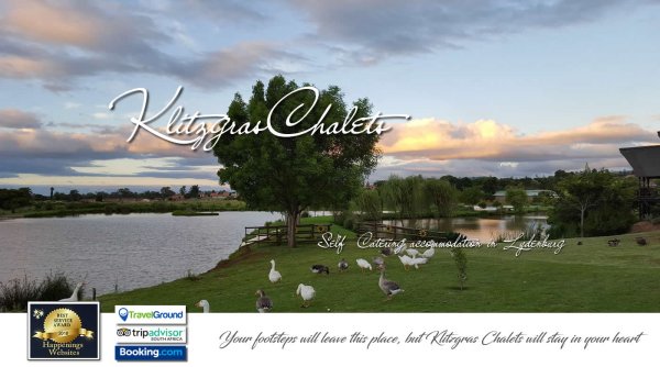 KlitzGras Chalets