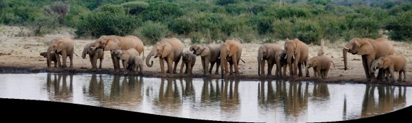 Mongena Private Game Lodge