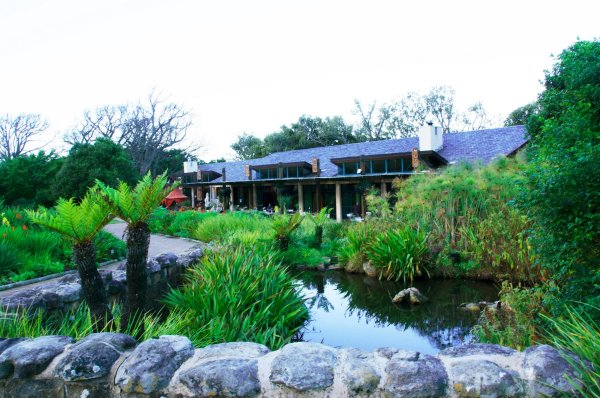 moyo Kirstenbosch