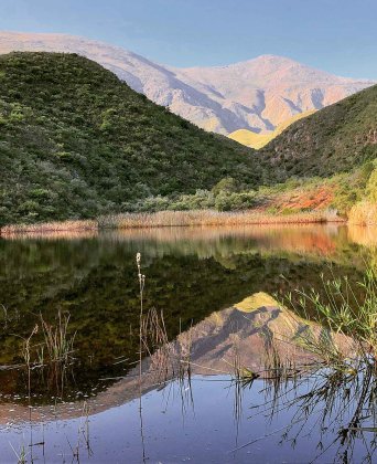 Pat Busch Mountain Reserve