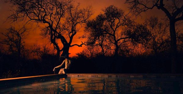 Safari Moon Luxury Bush Lodge