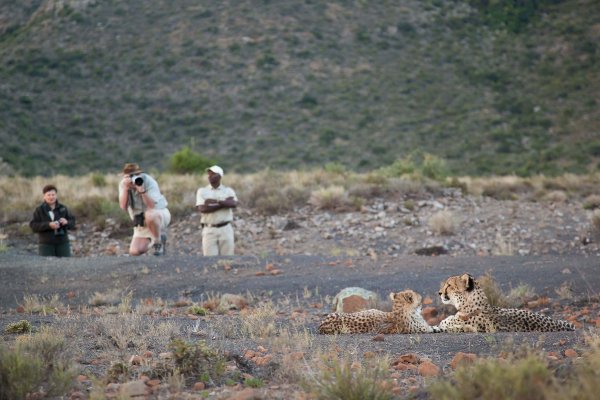 Samara Private Game Reserve