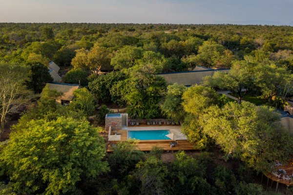 Thornybush Game Lodge