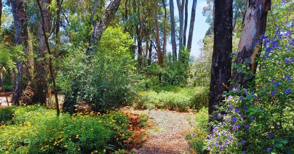 Woodland Gardens