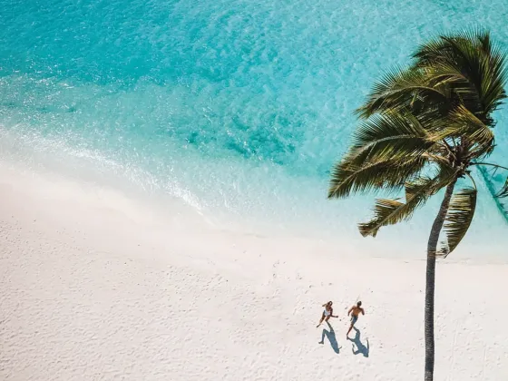 Kaani Palm Beach