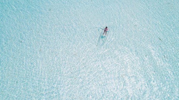Plumeria Sea View
