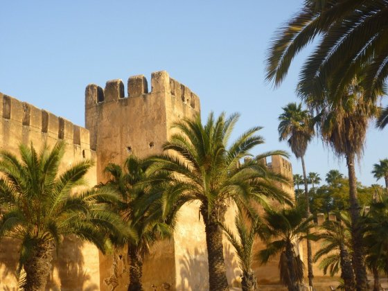 Riad M'Haita