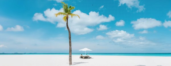 Bucuti & Tara Beach Resort