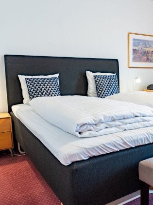 Palads Hotel Viborg