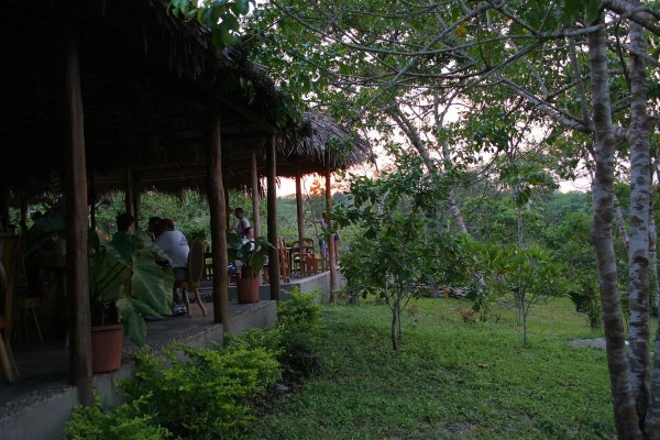 Amazon EcoPark Jungle Lodge