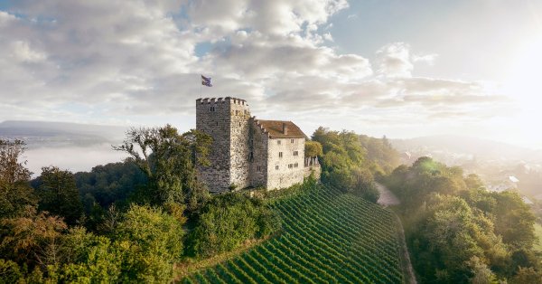 Habsburg Castle