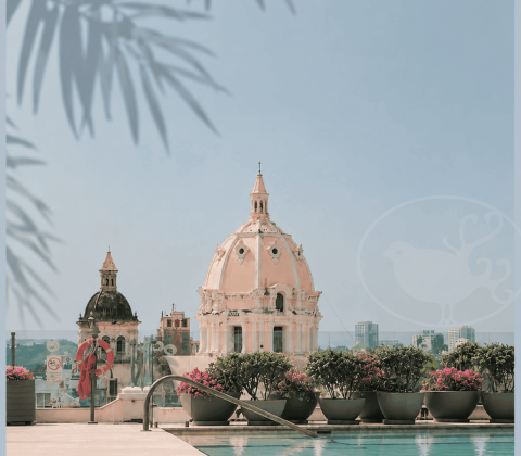 Hotel Charleston Santa Teresa