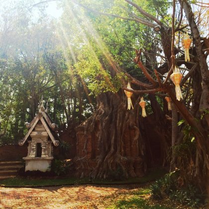 Dhara Dhevi Chiang Mai
